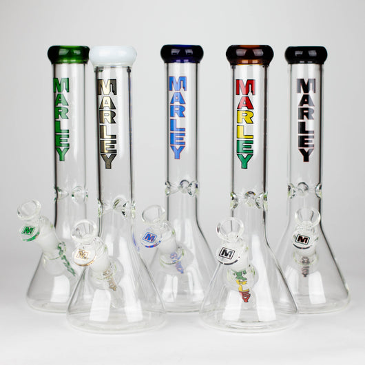 11" 5mm Glass Beaker Bong [3825]_0