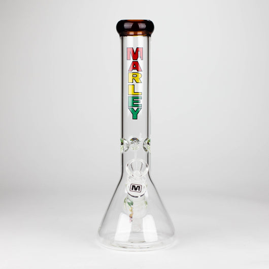 11" 5mm Glass Beaker Bong [3825]_10