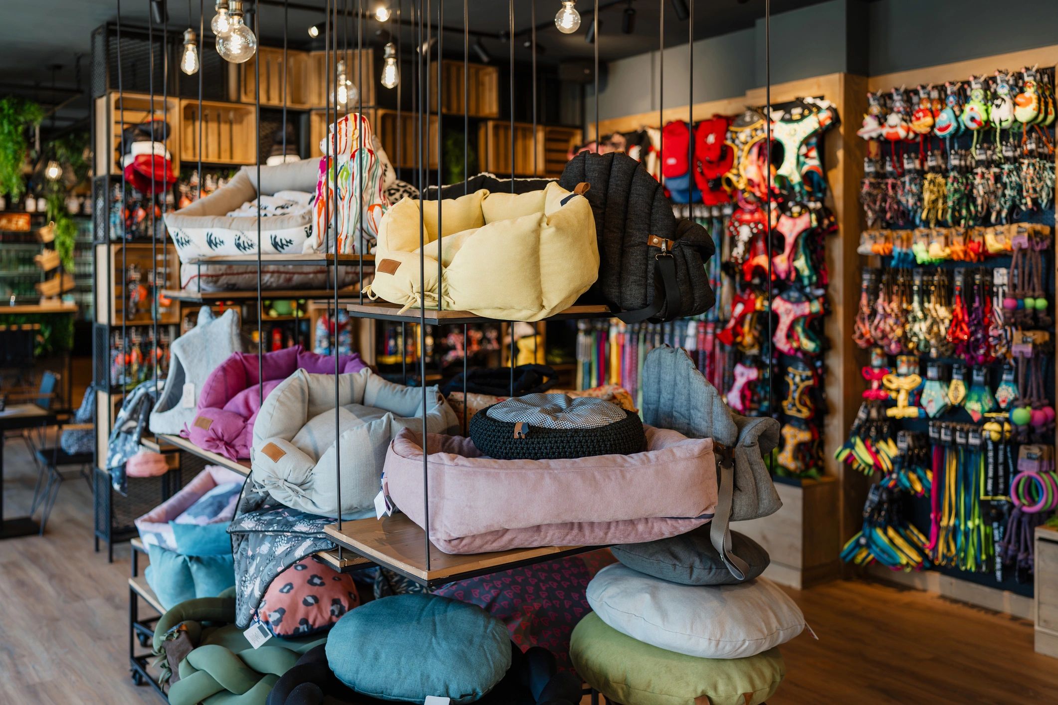 Retail store interior with product displays